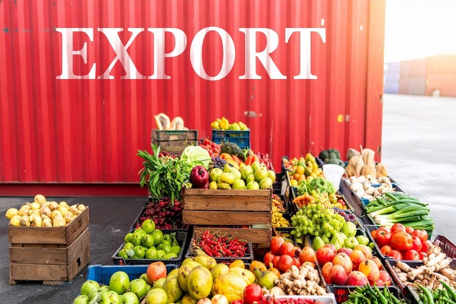 Export & Market Access