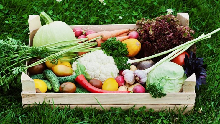 Organic Core Products